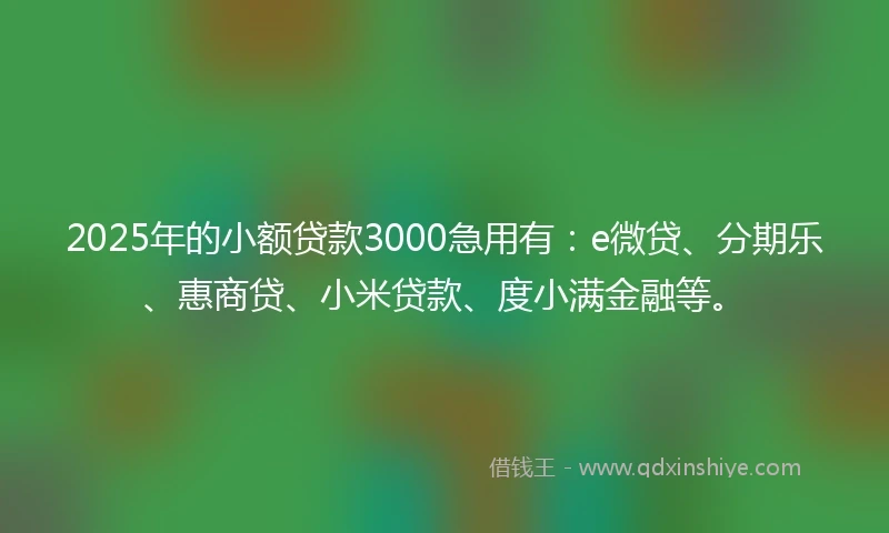 2025年的小额贷款3000急用有：e微贷、分期乐、惠商贷、小米贷款、度小满金融等。