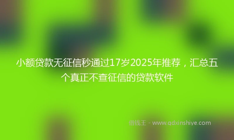 小额贷款无征信秒通过17岁2025年推荐，汇总五个真正不查征信的贷款软件