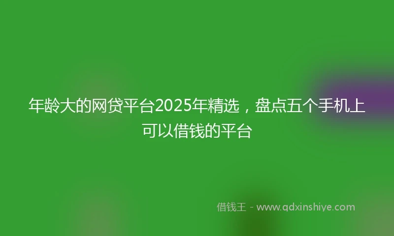 年龄大的网贷平台2025年精选，盘点五个手机上可以借钱的平台