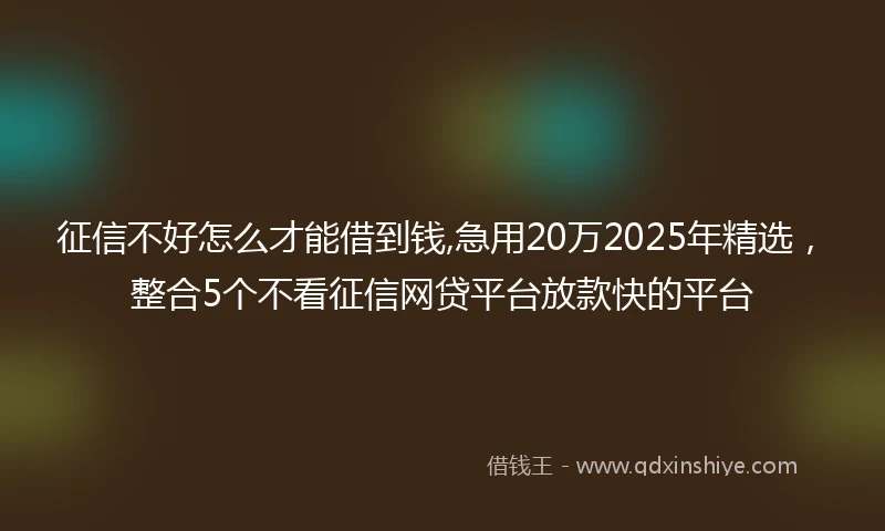 征信不好怎么才能借到钱,急用20万2025年精选，整合5个不看征信网贷平台放款快的平台