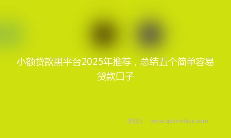 小额贷款黑平台2025年推荐，总结五个简单容易贷款口子
