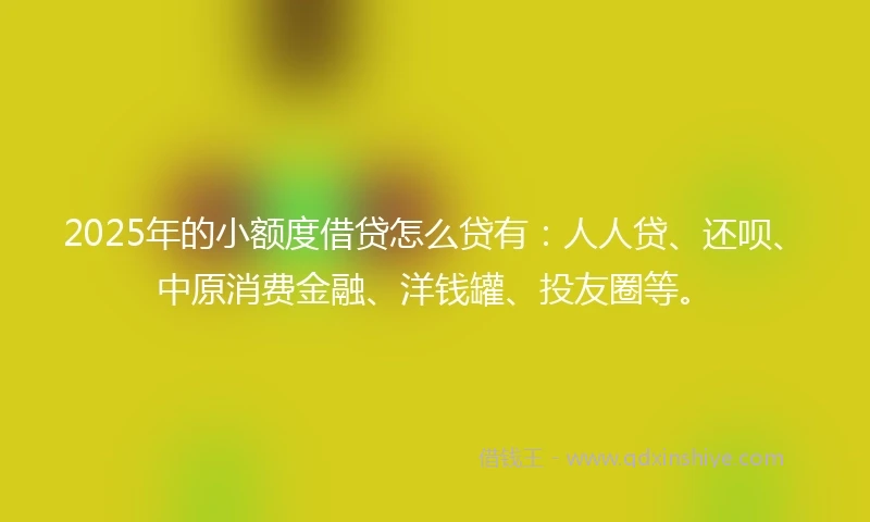 2025年的小额度借贷怎么贷有：人人贷、还呗、中原消费金融、洋钱罐、投友圈等。