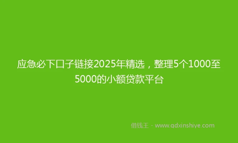 应急必下口子链接2025年精选，整理5个1000至5000的小额贷款平台
