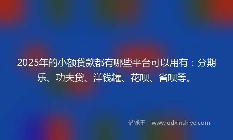 2025年的小额贷款都有哪些平台可以用有：分期乐、功夫贷、洋钱罐、花呗、省呗等。