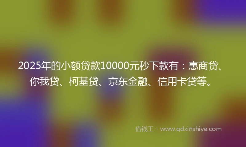 2025年的小额贷款10000元秒下款有：惠商贷、你我贷、柯基贷、京东金融、信用卡贷等。