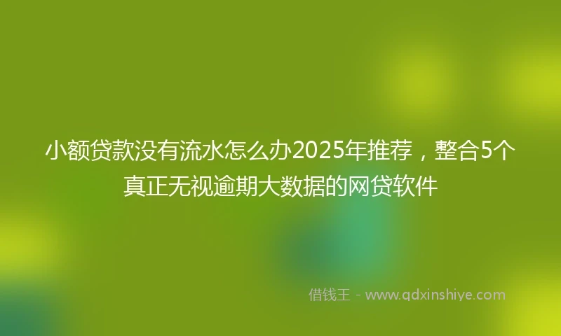 小额贷款没有流水怎么办2025年推荐，整合5个真正无视逾期大数据的网贷软件