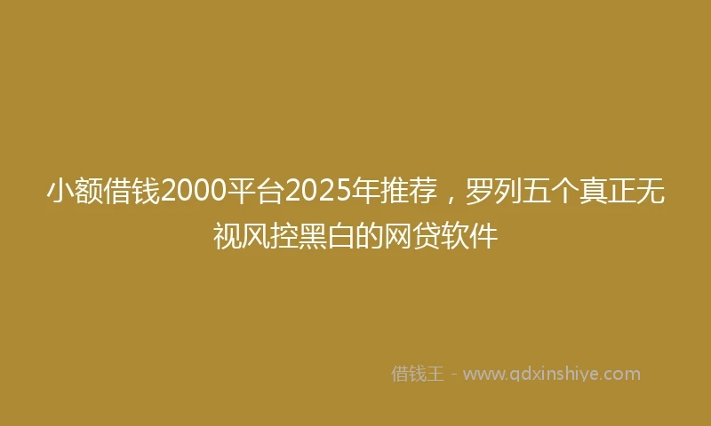 小额借钱2000平台2025年推荐，罗列五个真正无视风控黑白的网贷软件