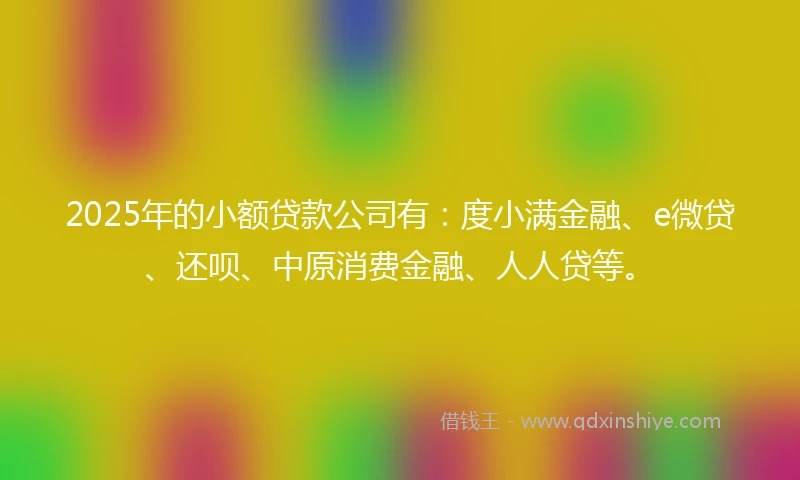 2025年的小额贷款公司有：度小满金融、e微贷、还呗、中原消费金融、人人贷等。