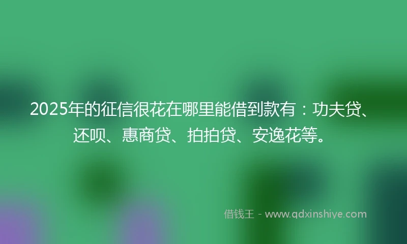 2025年的征信很花在哪里能借到款有：功夫贷、还呗、惠商贷、拍拍贷、安逸花等。