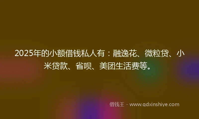 2025年的小额借钱私人有:融逸花、微粒贷、小米贷款、省呗、美团生活费等。
