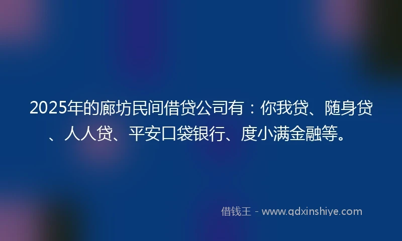 2025年的廊坊民间借贷公司有：你我贷、随身贷、人人贷、平安口袋银行、度小满金融等。