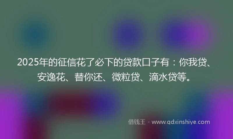 2025年的征信花了必下的贷款口子有：你我贷、安逸花、替你还、微粒贷、滴水贷等。