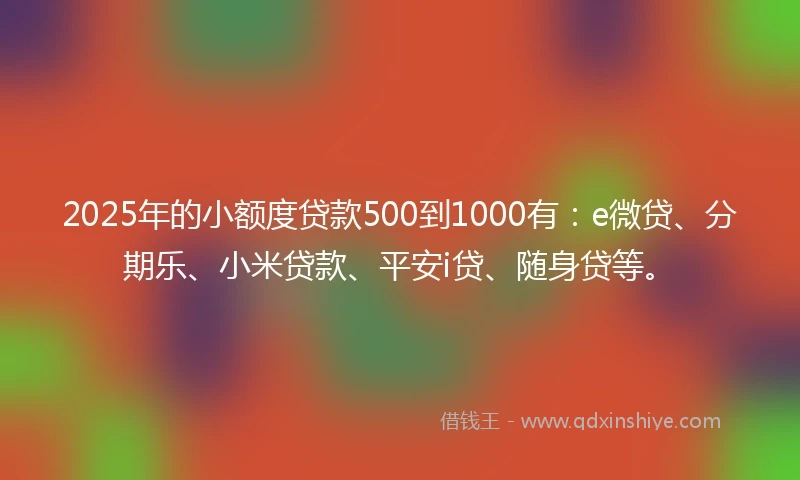 2025年的小额度贷款500到1000有：e微贷、分期乐、小米贷款、平安i贷、随身贷等。