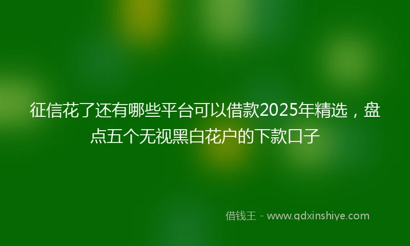 征信花了还有哪些平台可以借款2025年精选，盘点五个无视黑白花户的下款口子