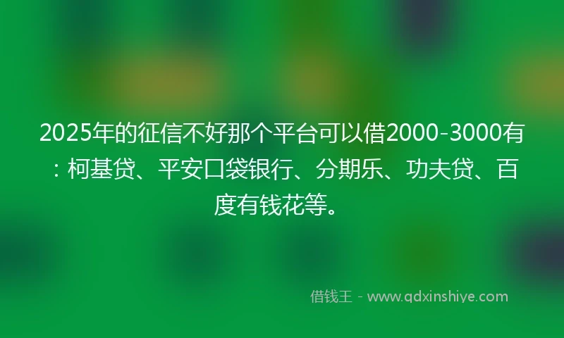 2025年的征信不好那个平台可以借2000-3000有：柯基贷、平安口袋银行、分期乐、功夫贷、百度有钱花等。