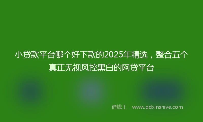 小贷款平台哪个好下款的2025年精选，整合五个真正无视风控黑白的网贷平台