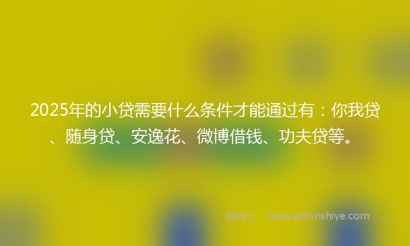 2025年的小贷需要什么条件才能通过有：你我贷、随身贷、安逸花、微博借钱、功夫贷等。