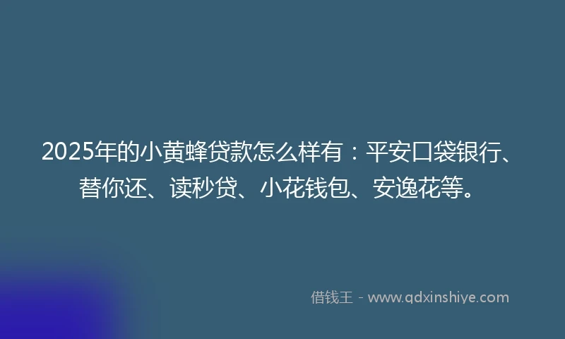 2025年的小黄蜂贷款怎么样有：平安口袋银行、替你还、读秒贷、小花钱包、安逸花等。