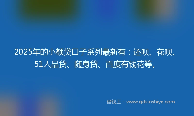2025年的小额贷口子系列最新有：还呗、花呗、51人品贷、随身贷、百度有钱花等。