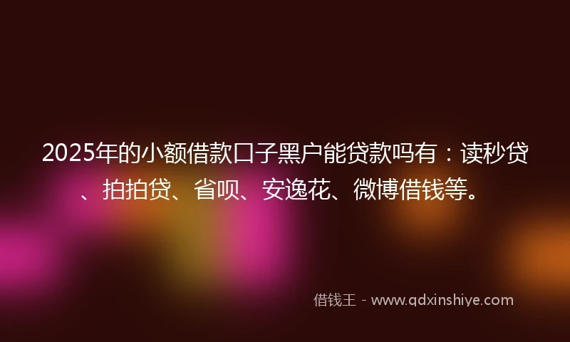 2025年的小额借款口子黑户能贷款吗有：读秒贷、拍拍贷、省呗、安逸花、微博借钱等。