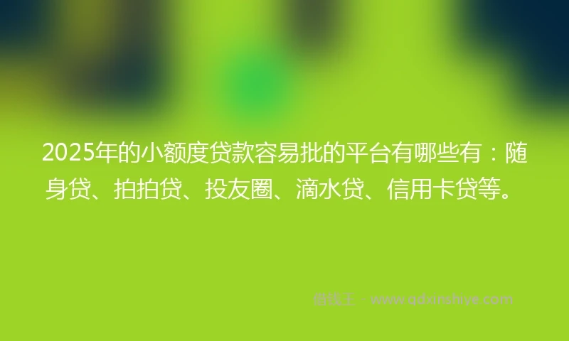 2025年的小额度贷款容易批的平台有哪些有：随身贷、拍拍贷、投友圈、滴水贷、信用卡贷等。