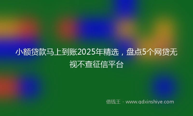 小额贷款马上到账2025年精选，盘点5个网贷无视不查征信平台