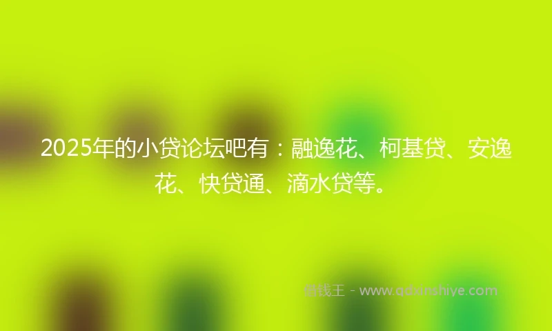 2025年的小贷论坛吧有：融逸花、柯基贷、安逸花、快贷通、滴水贷等。