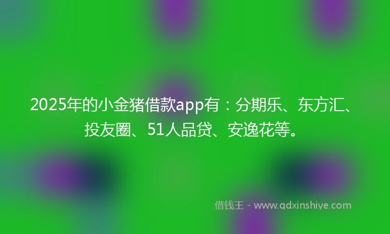 2025年的小金猪借款app有：分期乐、东方汇、投友圈、51人品贷、安逸花等。