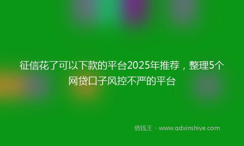征信花了可以下款的平台2025年推荐，整理5个网贷口子风控不严的平台