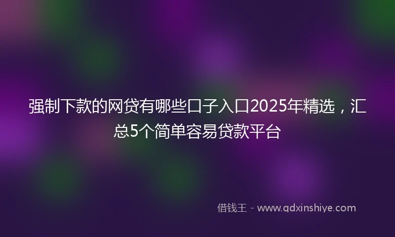 强制下款的网贷有哪些口子入口2025年精选，汇总5个简单容易贷款平台
