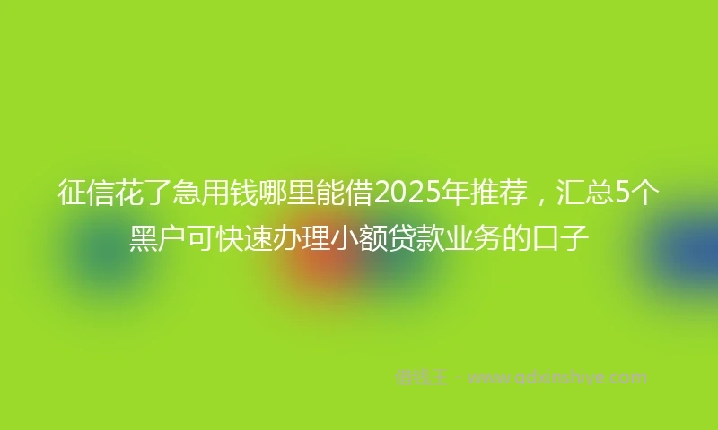 征信花了急用钱哪里能借2025年推荐，汇总5个黑户可快速办理小额贷款业务的口子