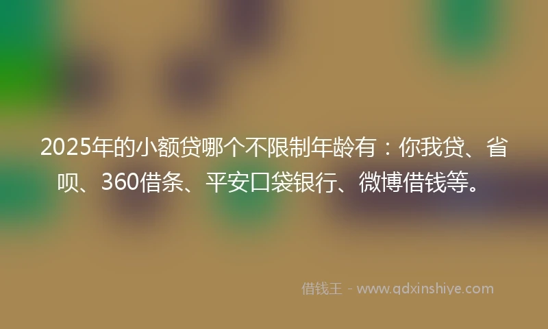 2025年的小额贷哪个不限制年龄有：你我贷、省呗、360借条、平安口袋银行、微博借钱等。