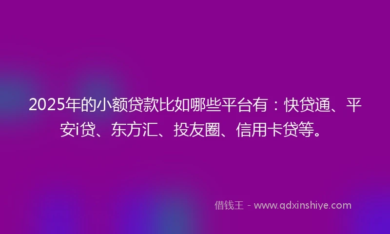 2025年的小额贷款比如哪些平台有：快贷通、平安i贷、东方汇、投友圈、信用卡贷等。
