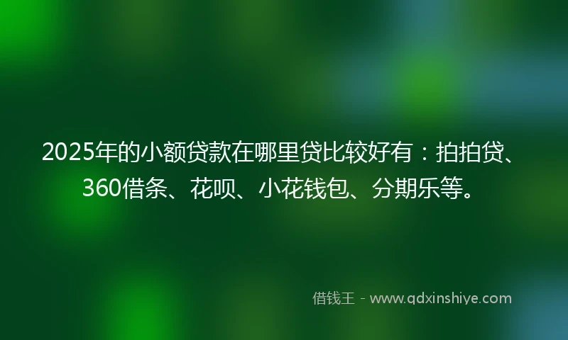 2025年的小额贷款在哪里贷比较好有：拍拍贷、360借条、花呗、小花钱包、分期乐等。