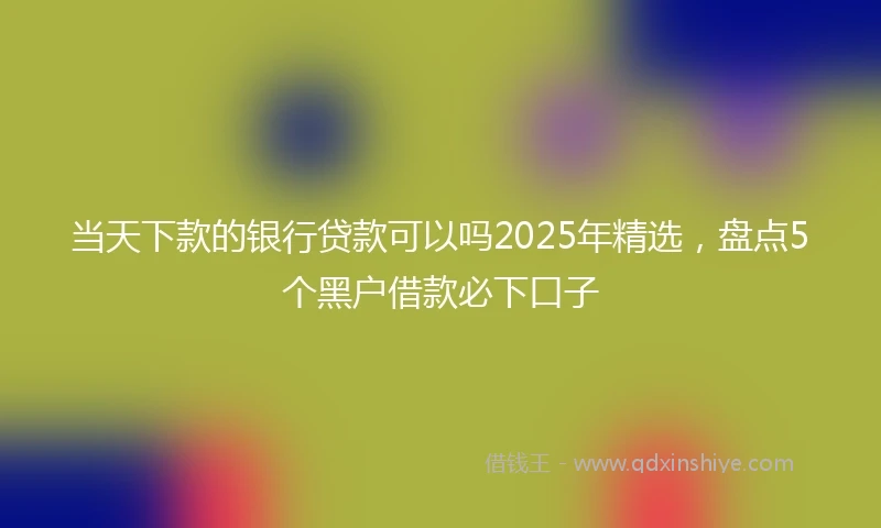 当天下款的银行贷款可以吗2025年精选，盘点5个黑户借款必下口子