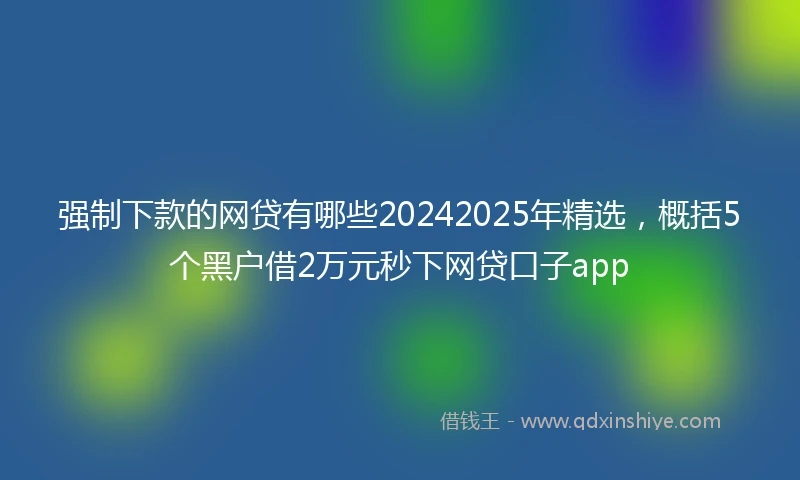 强制下款的网贷有哪些20242025年精选，概括5个黑户借2万元秒下网贷口子app