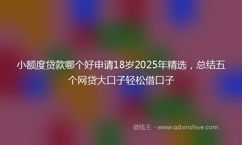 小额度贷款哪个好申请18岁2025年精选，总结五个网贷大口子轻松借口子