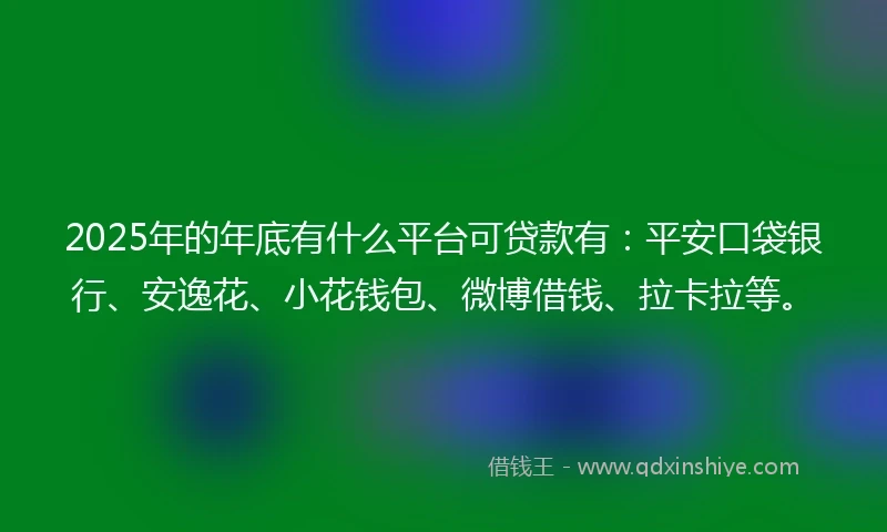 2025年的年底有什么平台可贷款有：平安口袋银行、安逸花、小花钱包、微博借钱、拉卡拉等。