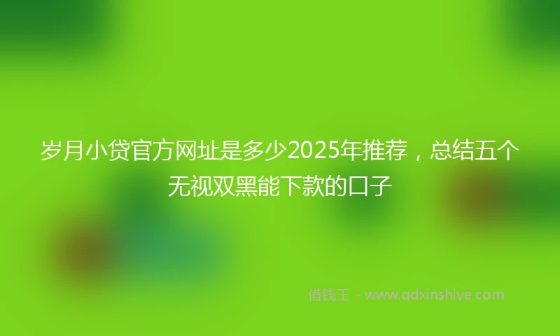 岁月小贷官方网址是多少2025年推荐，总结五个无视双黑能下款的口子