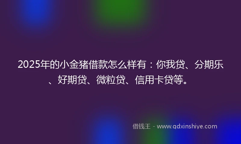 2025年的小金猪借款怎么样有：你我贷、分期乐、好期贷、微粒贷、信用卡贷等。