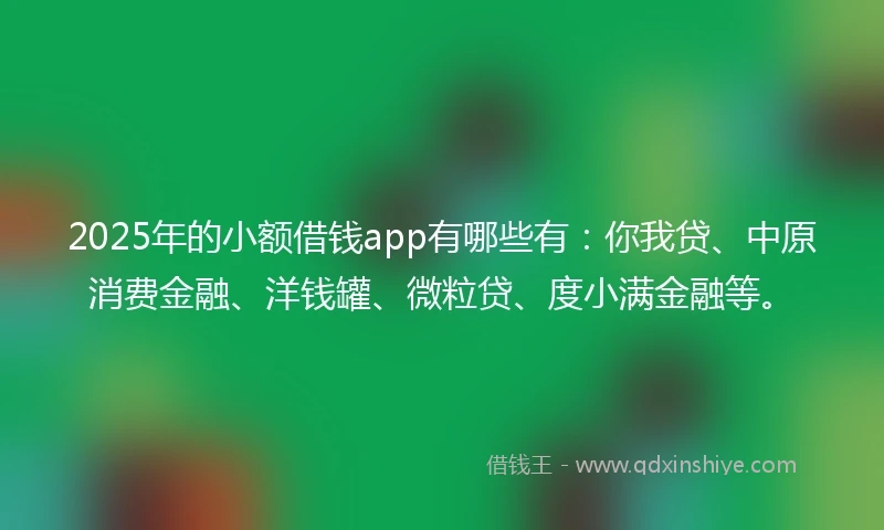 2025年的小额借钱app有哪些有：你我贷、中原消费金融、洋钱罐、微粒贷、度小满金融等。