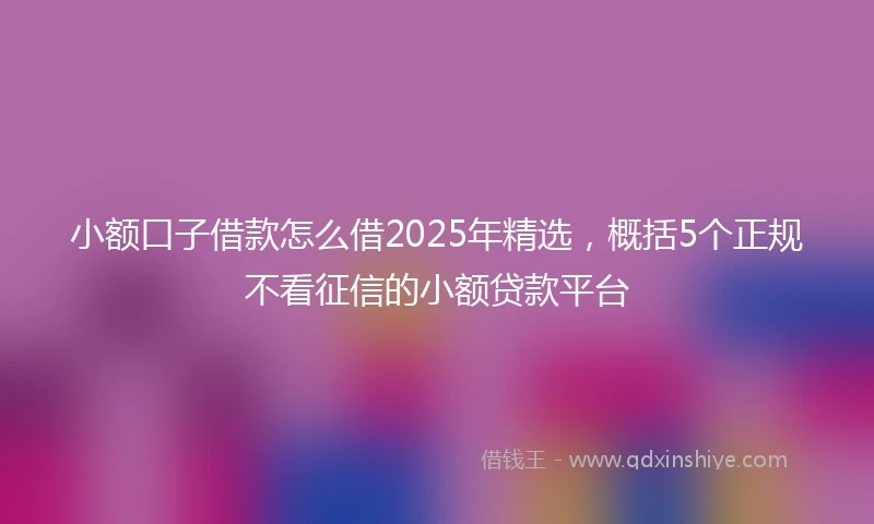 小额口子借款怎么借2025年精选，概括5个正规不看征信的小额贷款平台