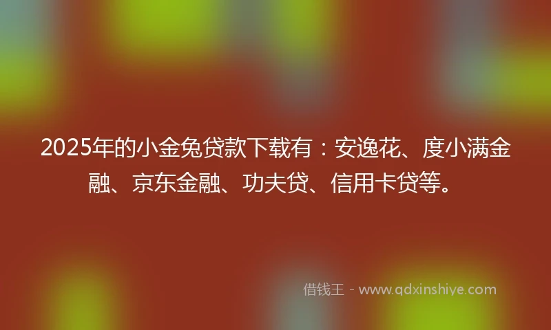 2025年的小金兔贷款下载有：安逸花、度小满金融、京东金融、功夫贷、信用卡贷等。