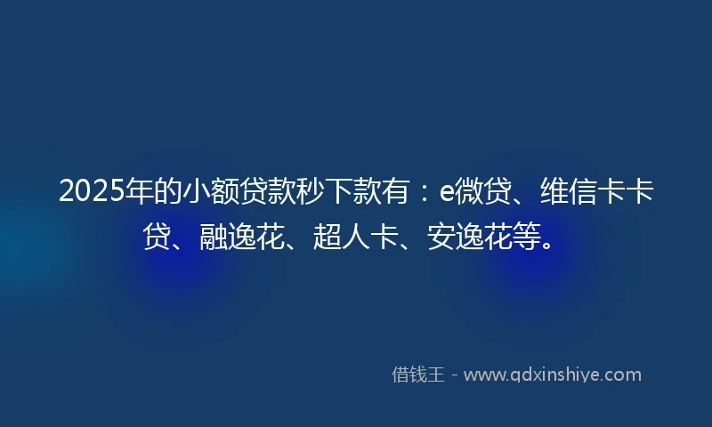 2025年的小额贷款秒下款有：e微贷、维信卡卡贷、融逸花、超人卡、安逸花等。