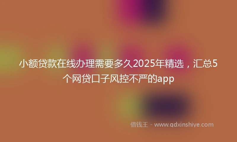 小额贷款在线办理需要多久2025年精选，汇总5个网贷口子风控不严的app