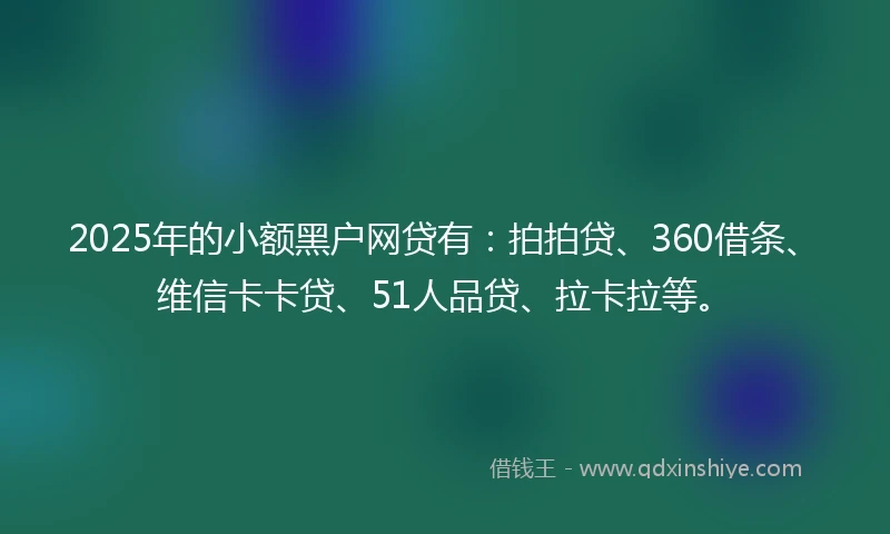 2025年的小额黑户网贷有：拍拍贷、360借条、维信卡卡贷、51人品贷、拉卡拉等。