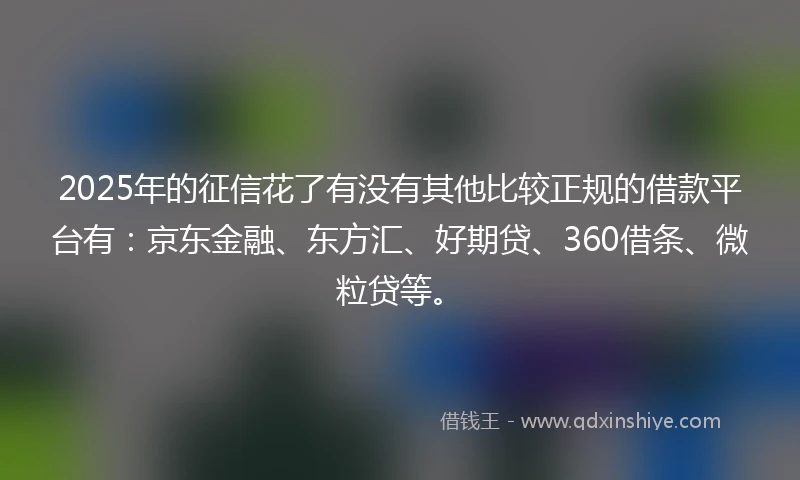 2025年的征信花了有没有其他比较正规的借款平台有:京东金融、东方汇、好期贷、360借条、微粒贷等。