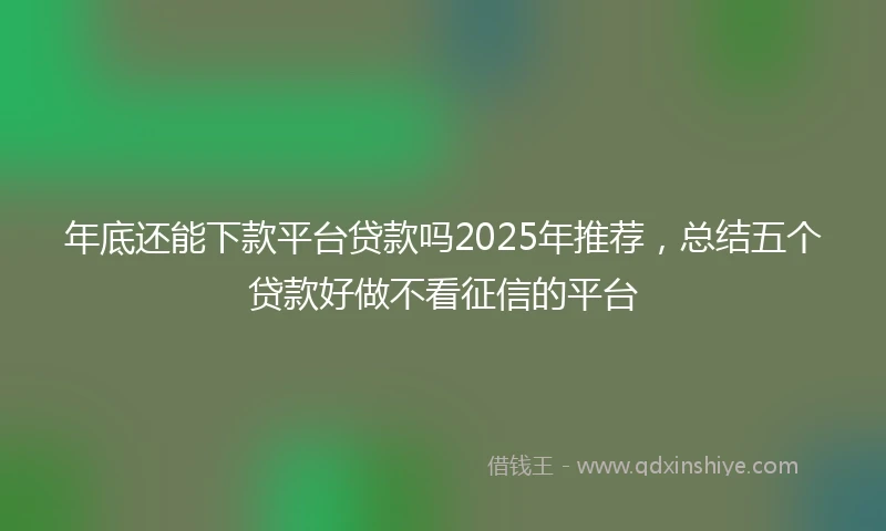 年底还能下款平台贷款吗2025年推荐，总结五个贷款好做不看征信的平台