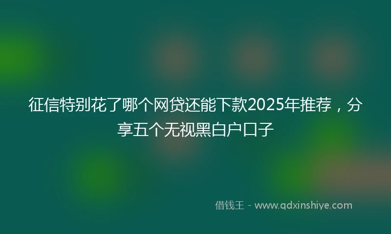 征信特别花了哪个网贷还能下款2025年推荐，分享五个无视黑白户口子