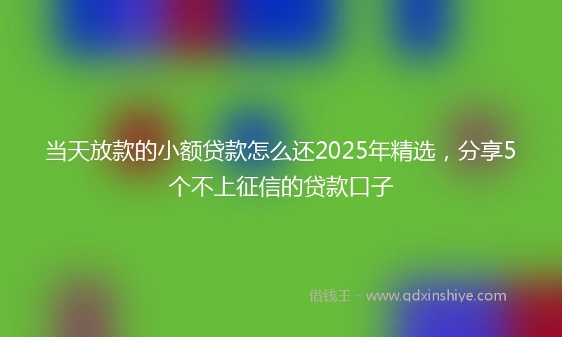 当天放款的小额贷款怎么还2025年精选，分享5个不上征信的贷款口子